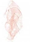 doc01022320220126160254