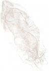 doc01018920220126143330