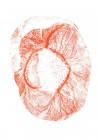 doc01021620220126160020