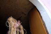 04_neckel_landkonscht