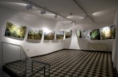_DSC7521