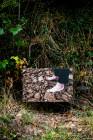 Storylines_Expo_Septembre2025_WEB_SturmLaurent-61