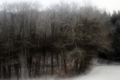 _DSC8083