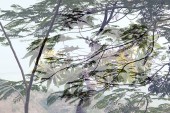 flora_3