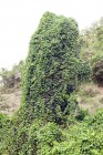 inventaire-portraits et paysages_15