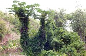 inventaire-portraits et paysages_16