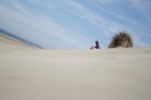 _DSC8393