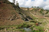 inventaire-portraits et paysages_30