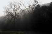 _DSC5868