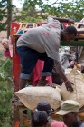série_Haïti33