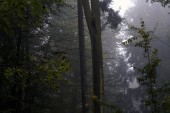 _DSC5486