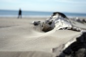 _DSC8404