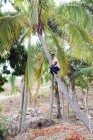 série_Haïti46
