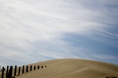 _DSC8440