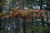 _DSC5504