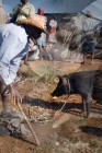 série_Haïti15