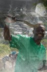 série_Haïti7