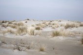 _DSC8481