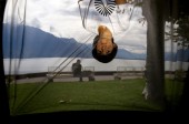 vevey_roulot'ographie5