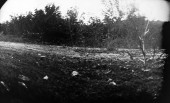 _DSC1995b