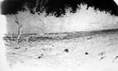 _DSC1995