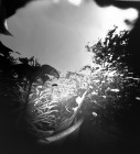 _DSC2006b