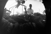 _DSC1994b