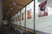 vue_expo6