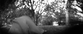 nomadicV_5