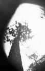 nomadicV_4b