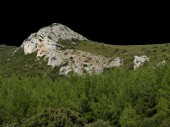 DSCF1268