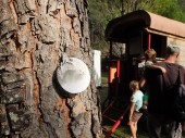 onTrees16