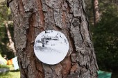 onTrees10