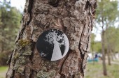 onTrees1