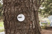 onTrees2