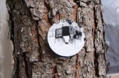 onTrees8