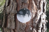 onTrees13