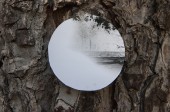 onTrees6