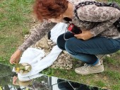 makingof_nomadicV163