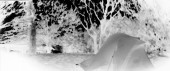 nomadicV_5