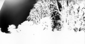 cugnaux_1811 8