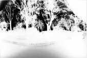 cugnaux_1811 5
