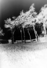 cugnaux_2611 13