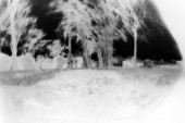 cugnaux_2711 5