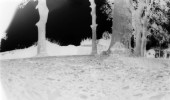 cugnaux_2711_LD