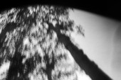 cugnaux_2711_lab