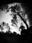 cugnaux_2711_la 4b