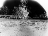 cugnaux_2811 21