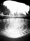 Neckel 5_n