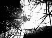 Romain_n